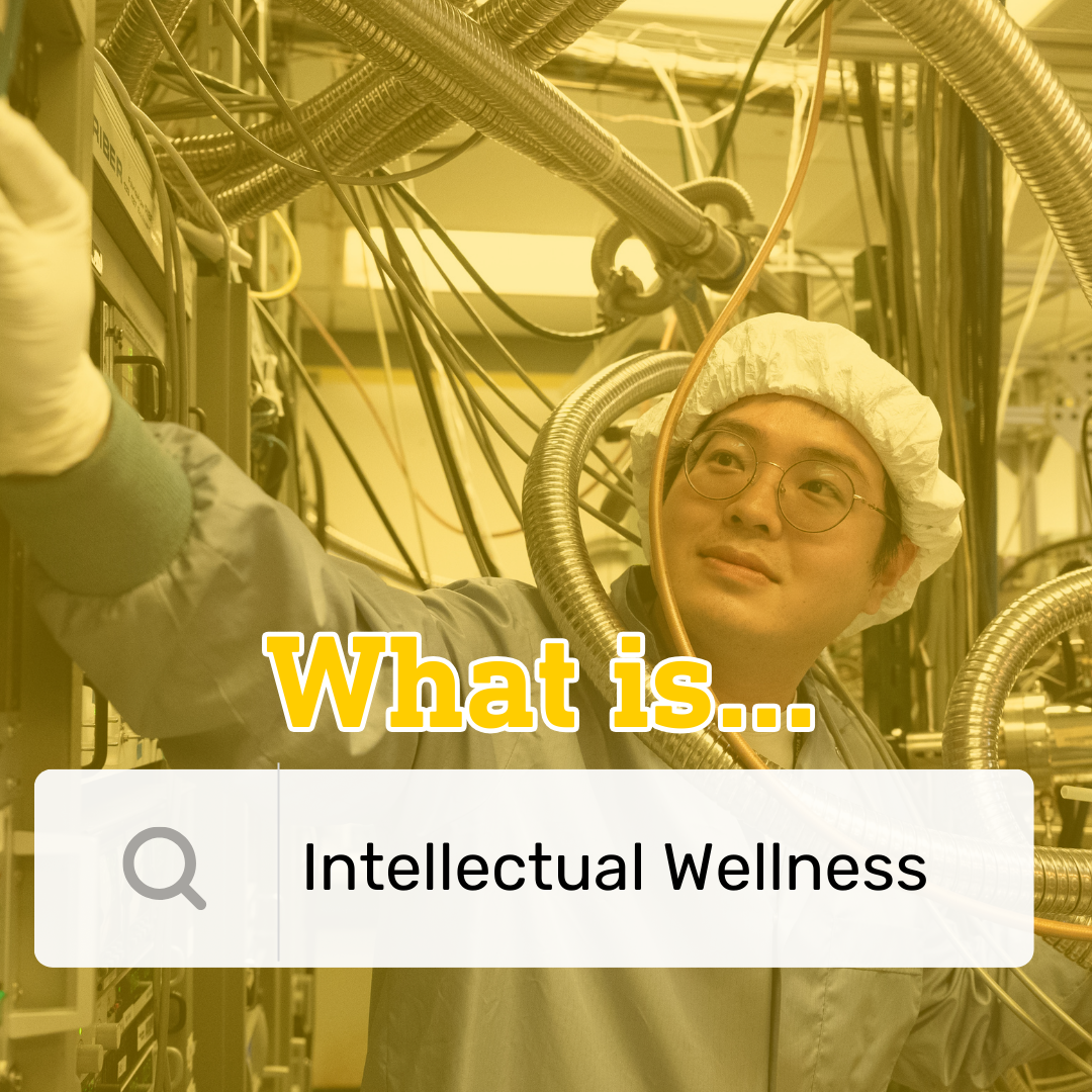 What is Intellectual  Wellness?