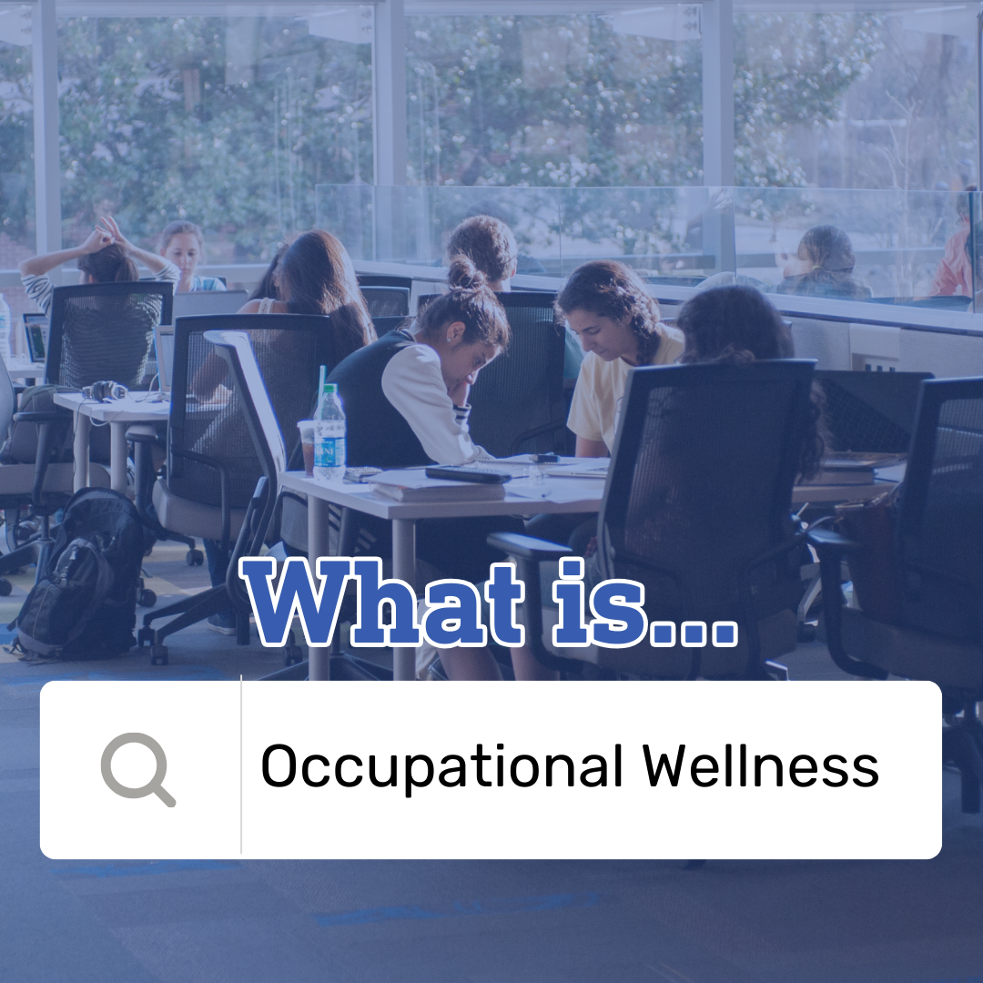 What is Occupational Wellness