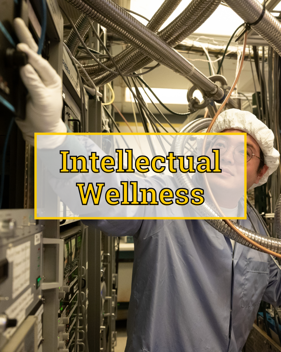 Intellectual Wellness